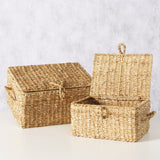 Box Sophy - WohnSinn