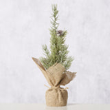 Dekobaum Kiefer - WohnSinn