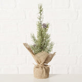 Dekobaum Kiefer - WohnSinn