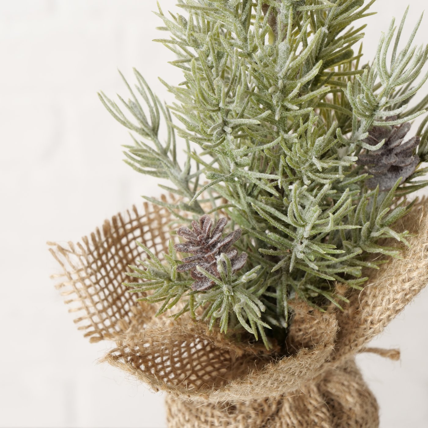 Dekobaum Kiefer - WohnSinn