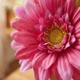 Dekostrauß Gerbera Pink auf dekoriertem Regal