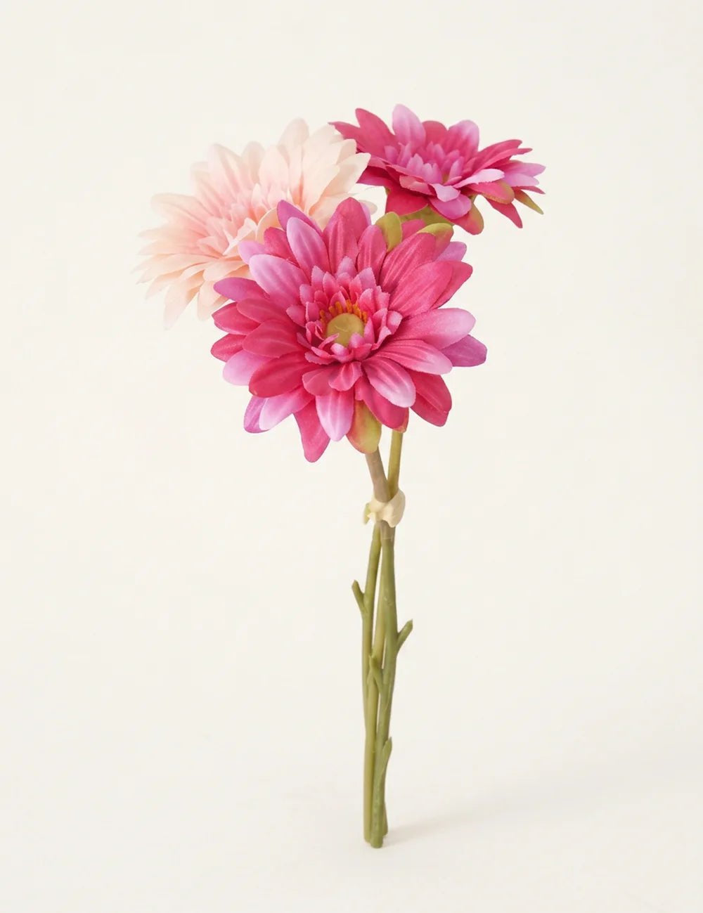 Dekostrauß Gerbera Pink, Frontalansicht im Studio-Setting