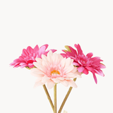 Dekostrauß Gerbera pink - WohnSinn
