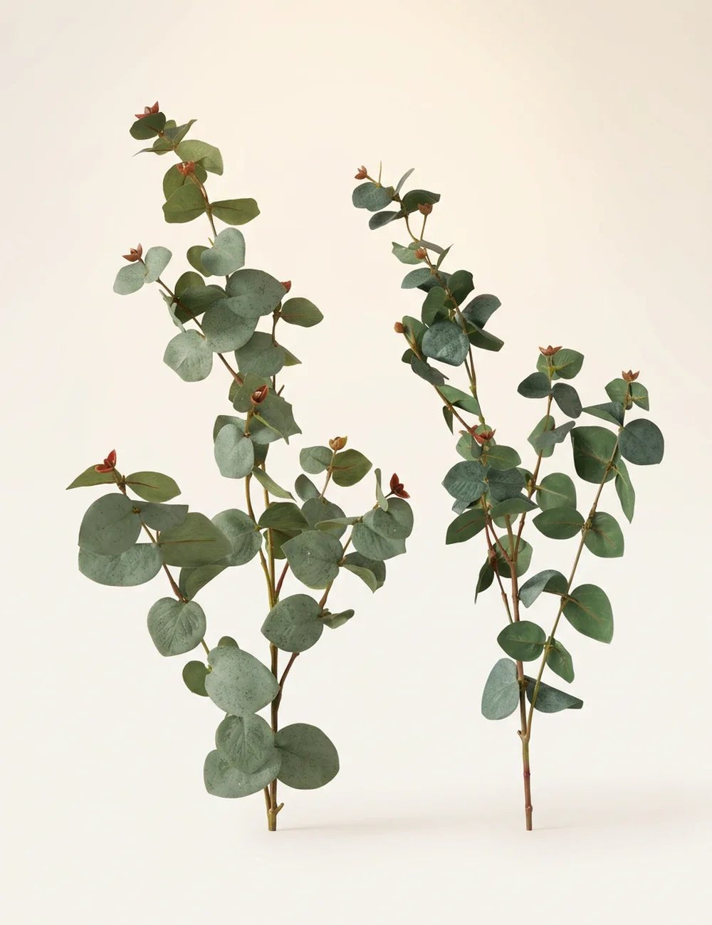 Dekozweig Eukalyptus – Nahaufnahme Materialdetail