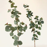 Dekozweig Eukalyptus – Nahaufnahme Materialdetail