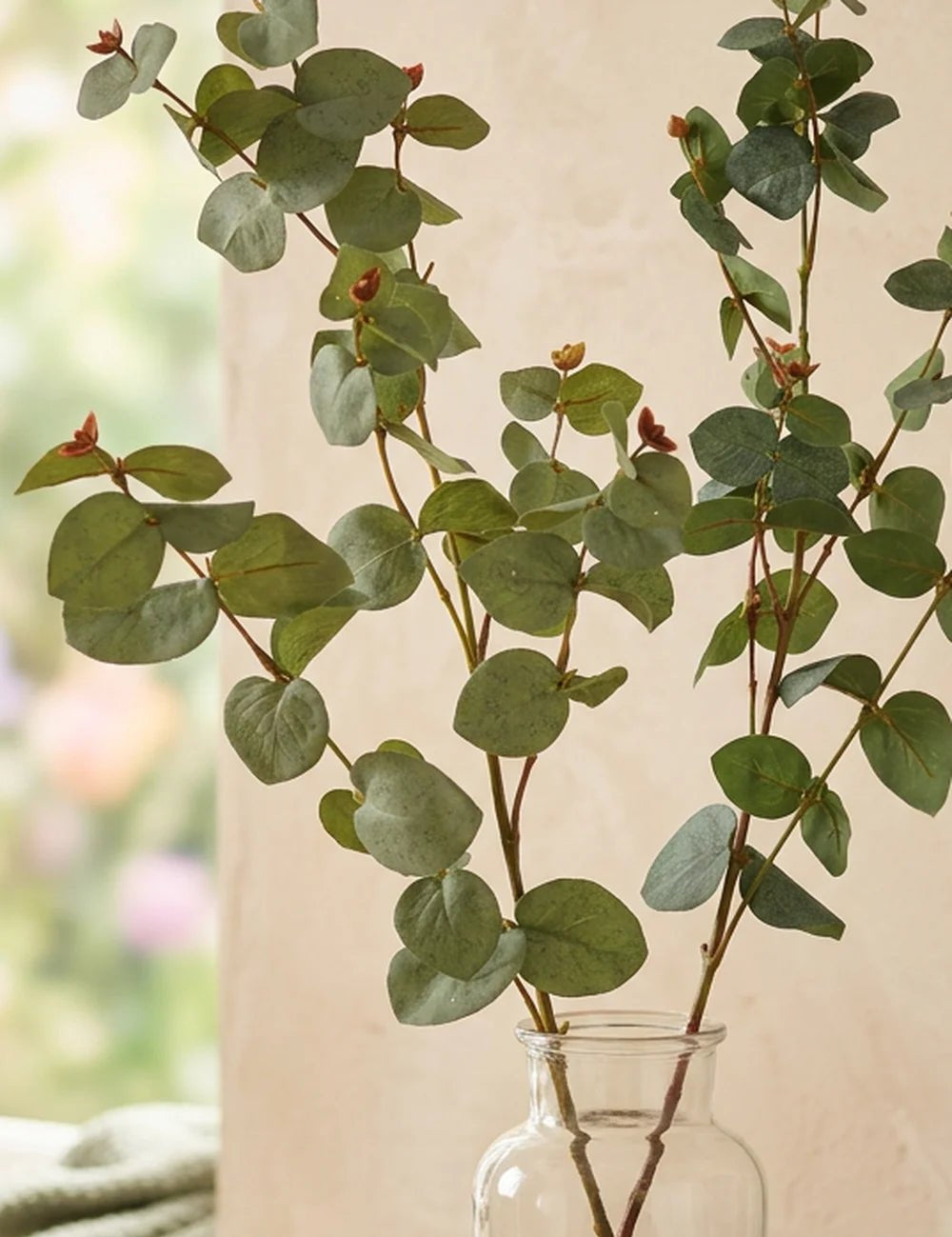 Dekozweig Eukalyptus – Ansicht von der Seite