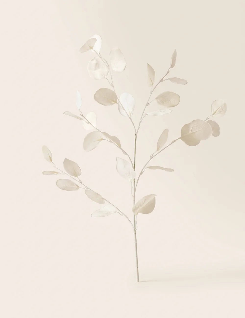 Dekozweig Eukalyptus weiß – Nahaufnahme Materialdetail