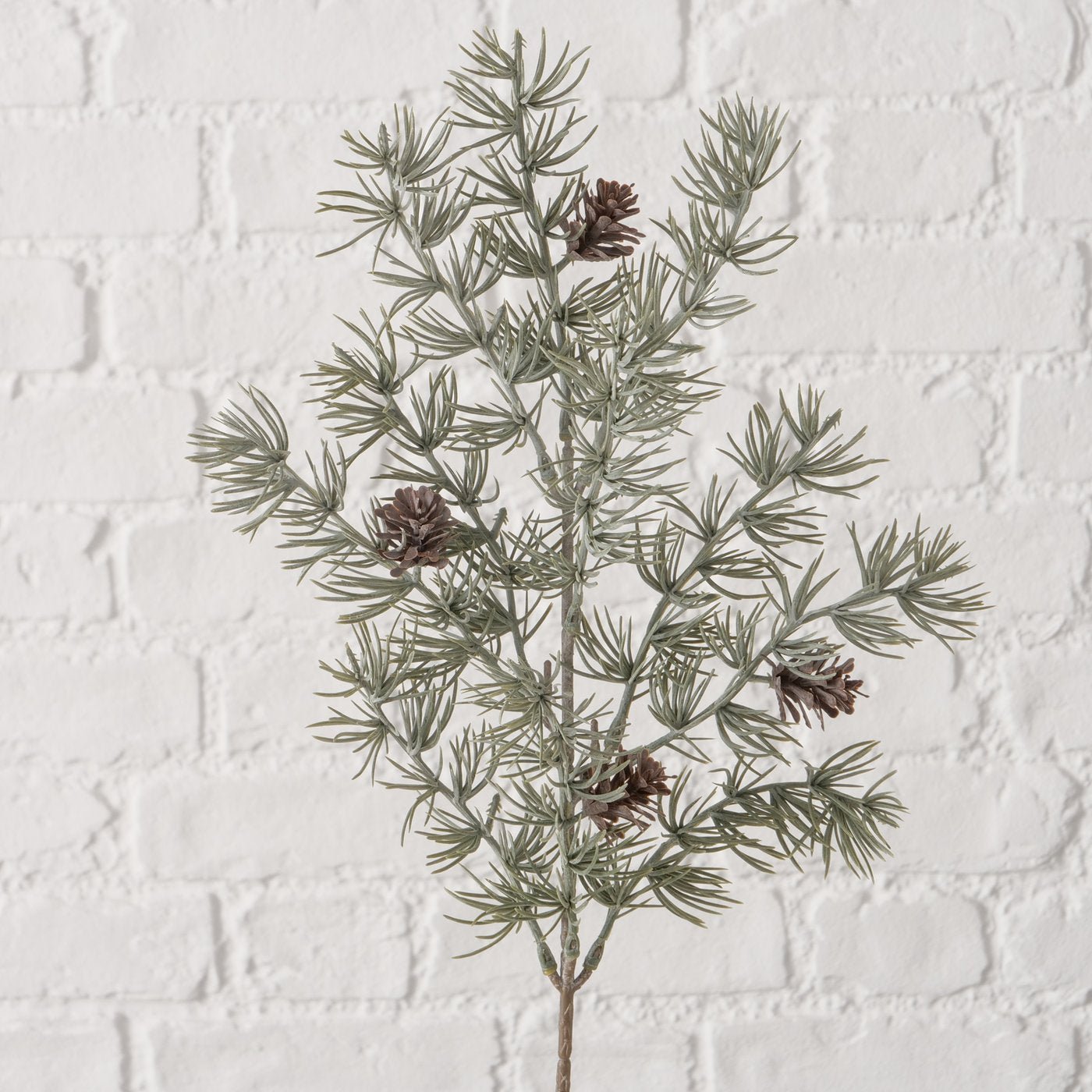 Dekozweig Kiefer - WohnSinn