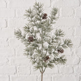 Dekozweig Kiefer - WohnSinn