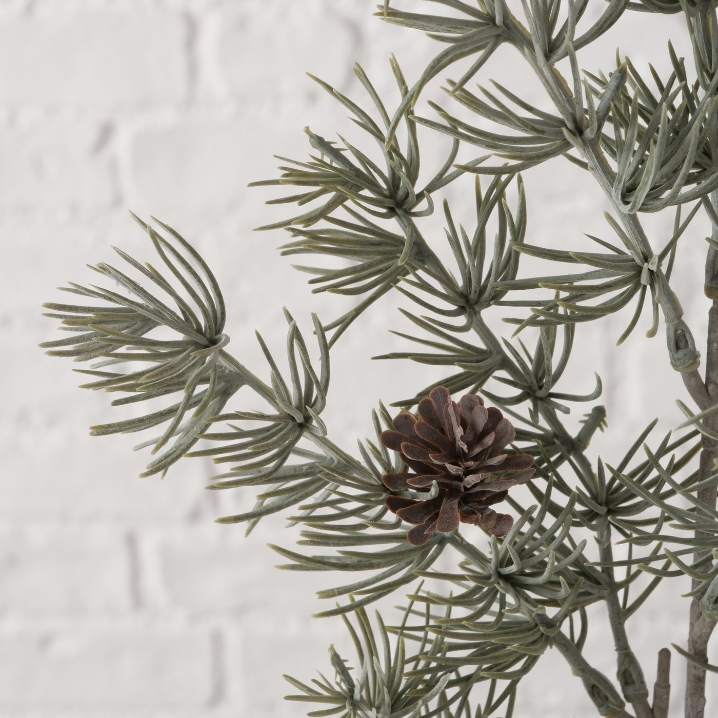 Dekozweig Kiefer - WohnSinn