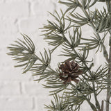 Dekozweig Kiefer - WohnSinn