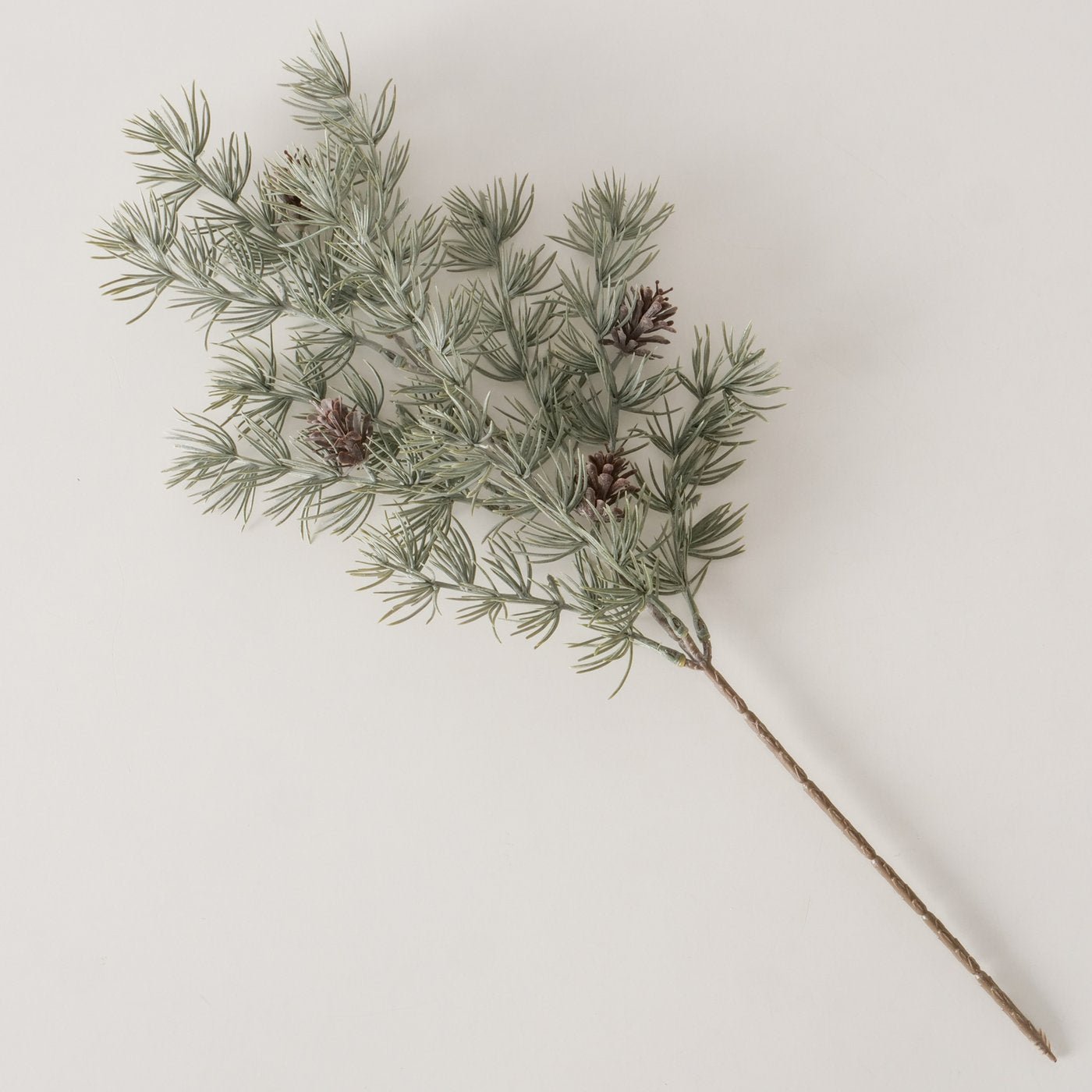 Dekozweig Kiefer - WohnSinn