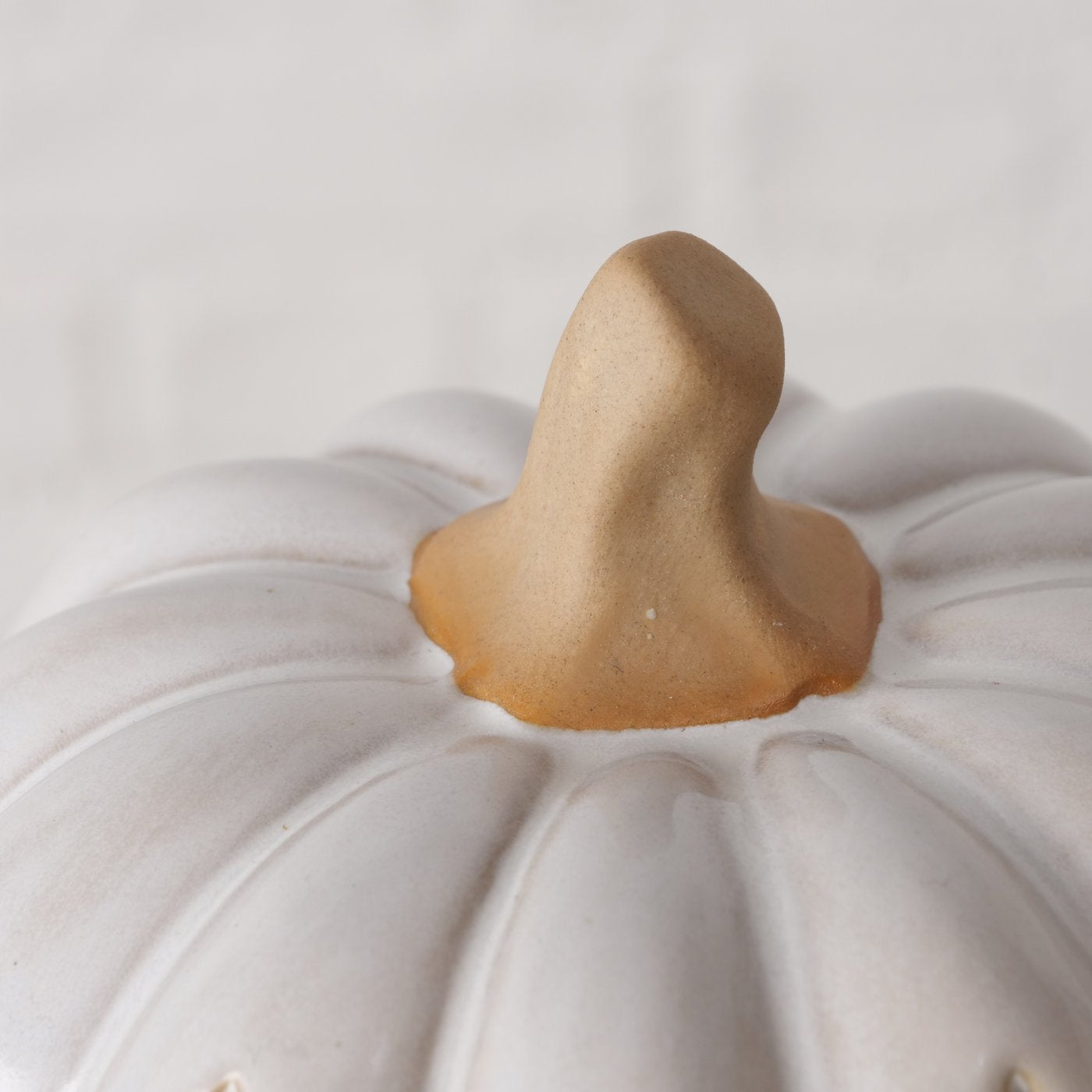 Kürbis Monty - WohnSinn