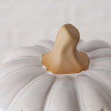 Kürbis Monty - WohnSinn