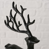 Rupert Hirsch schwarz - WohnSinn