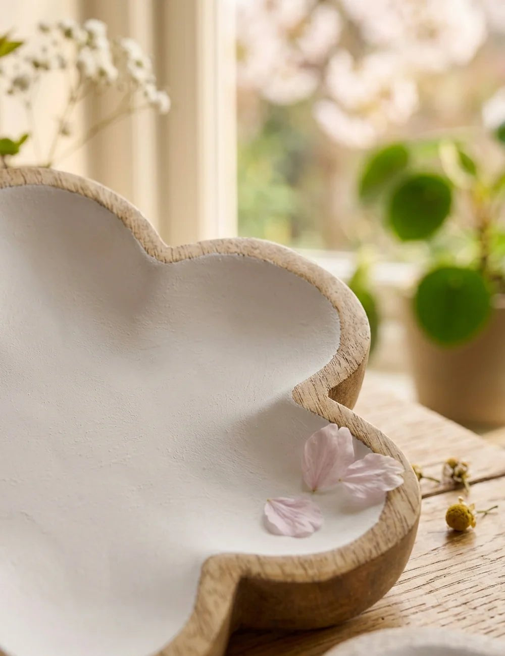 Schale Lemis Blume - WohnSinn