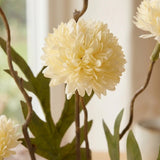 Stielblume Dahlie Cremeweiß – Nahaufnahme Materialdetail