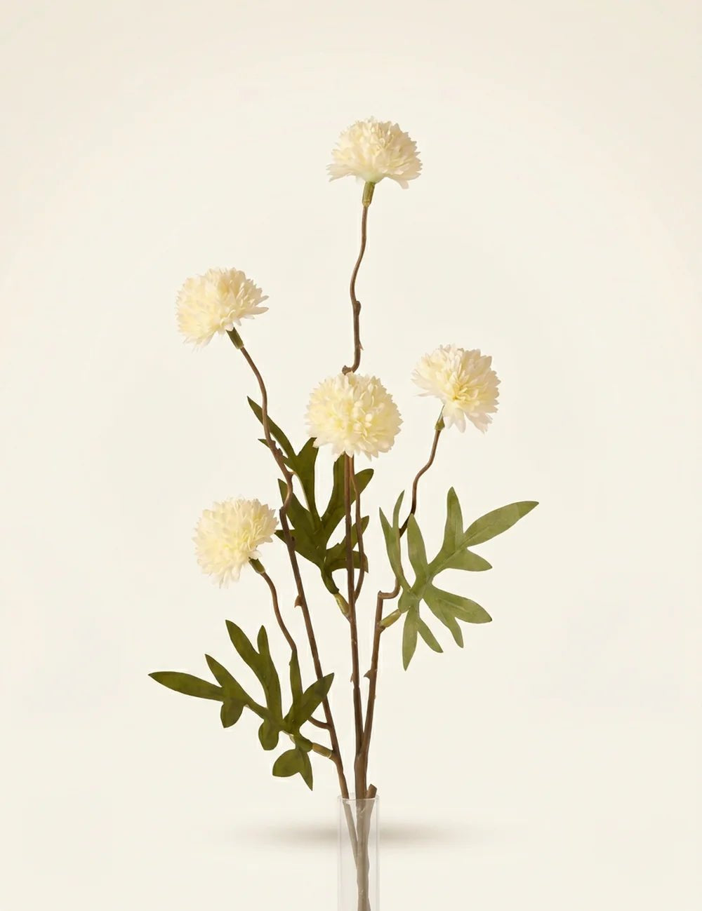 Stielblume Dahlie Cremeweiß – Produktansicht frontal