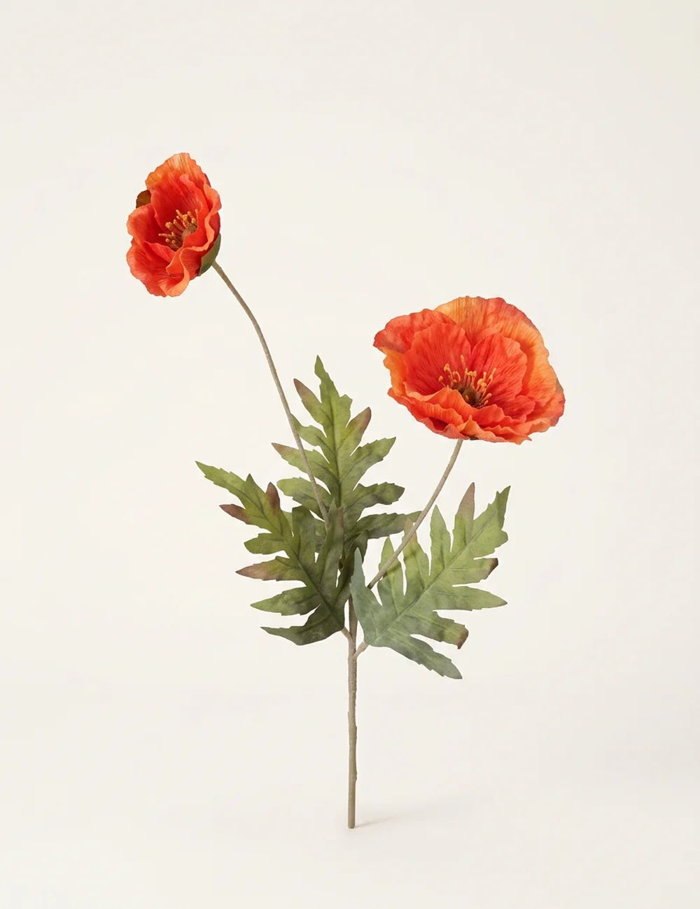 Stielblume Klatschmohn – Produktansicht frontal