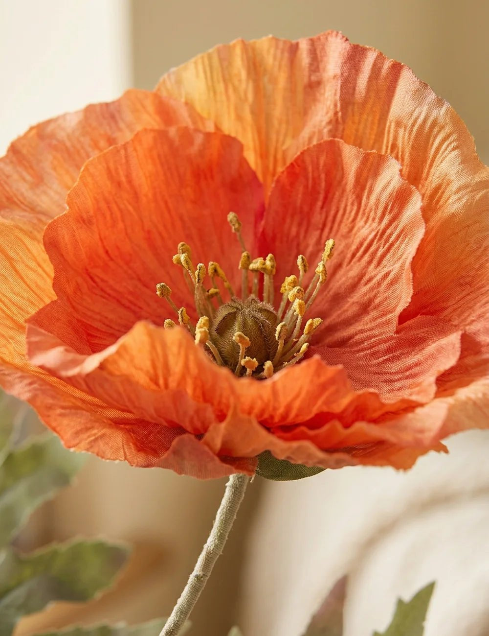 Stielblume Klatschmohn – Nahaufnahme Materialdetail