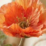 Stielblume Klatschmohn – Nahaufnahme Materialdetail