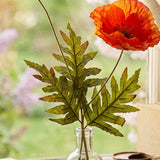 Stielblume Klatschmohn – Ansicht von der Seite