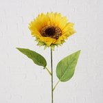 Stielblume Sonnenblume - WohnSinn