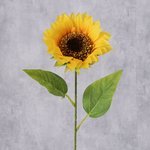 Stielblume Sonnenblume - WohnSinn