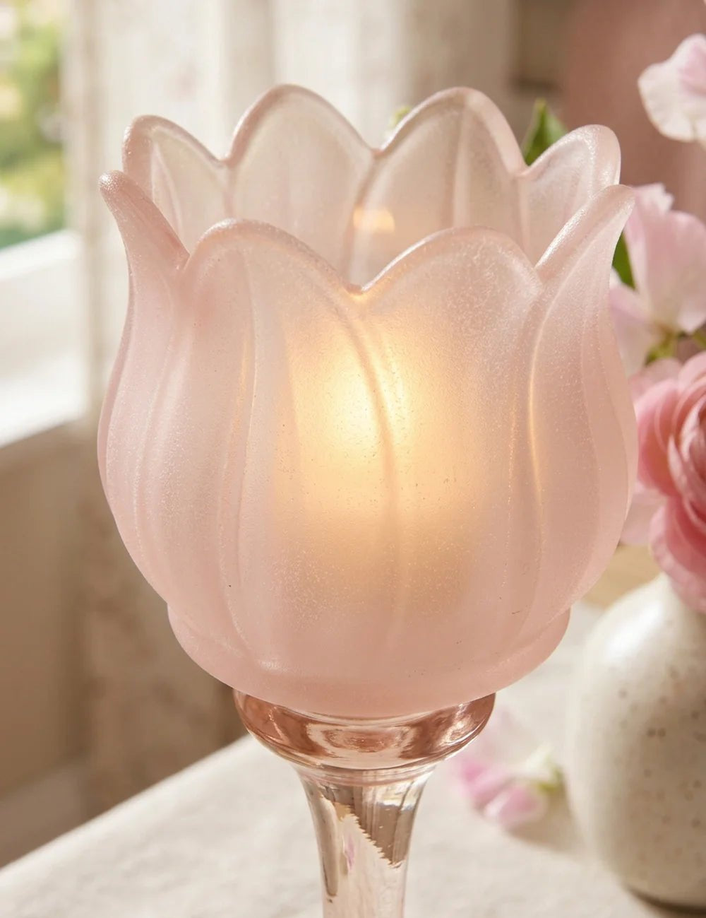 Tully Rosa Glas-Tulpe Nahaufnahme mit Kirschblüten im Hintergrund