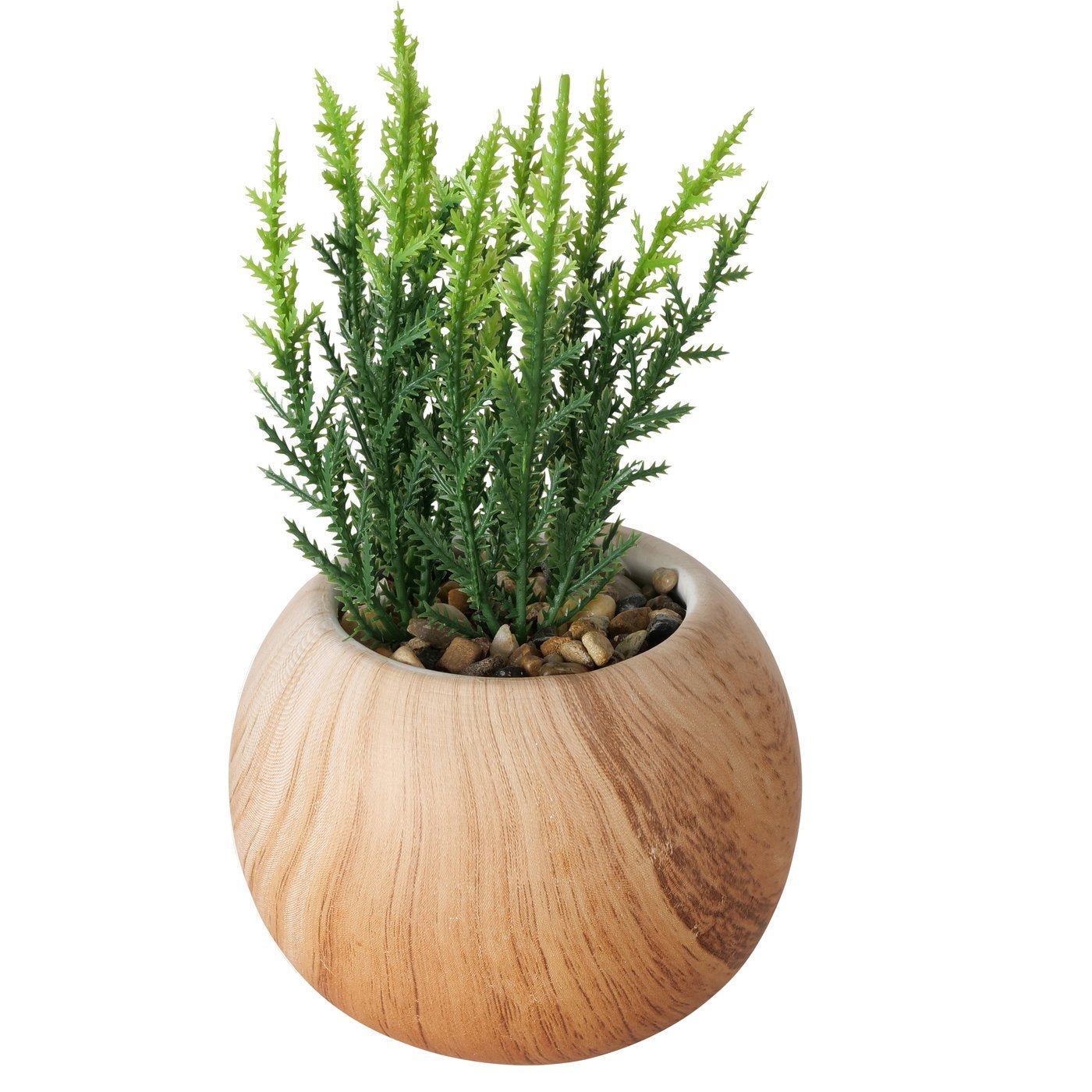 Topfpflanze - WohnSinn