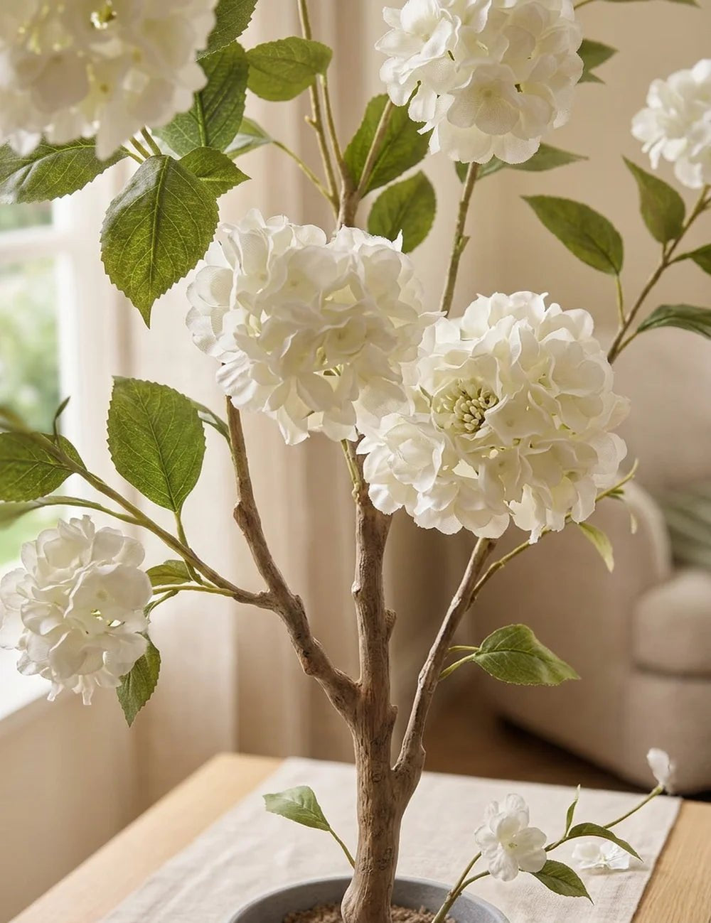 Topfpflanze Hortensie – Nahaufnahme Materialdetail