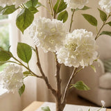 Topfpflanze Hortensie – Nahaufnahme Materialdetail