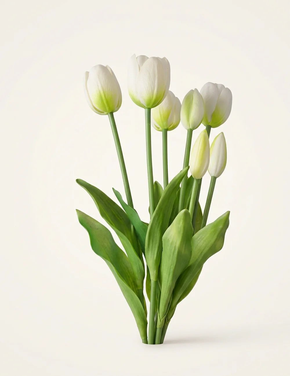 Tulpenstrauß Falona – Produktansicht frontal