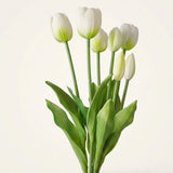 Tulpenstrauß Falona – Produktansicht frontal