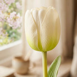 Tulpenstrauß Falona – Nahaufnahme Materialdetail