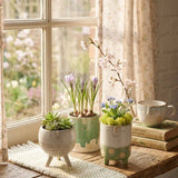 Übertopf Adelita – in Gruppenarrangement dekoriert