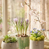 Übertopf Adelita – Ansicht von der Seite