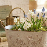 Übertopf Lotte - WohnSinn