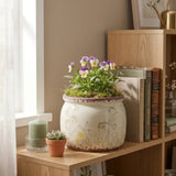 Übertopf Meadow – in Gruppenarrangement dekoriert