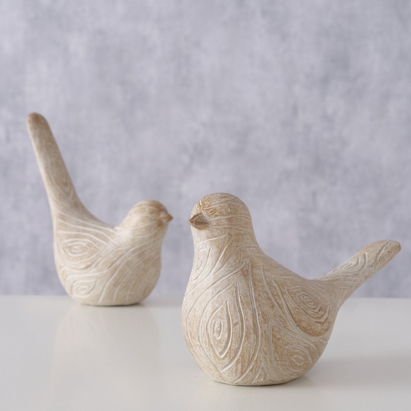 Vogel Karimo - WohnSinn