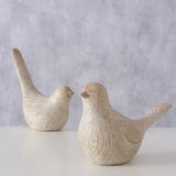 Vogel Karimo - WohnSinn