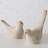 Vogel Karimo - WohnSinn