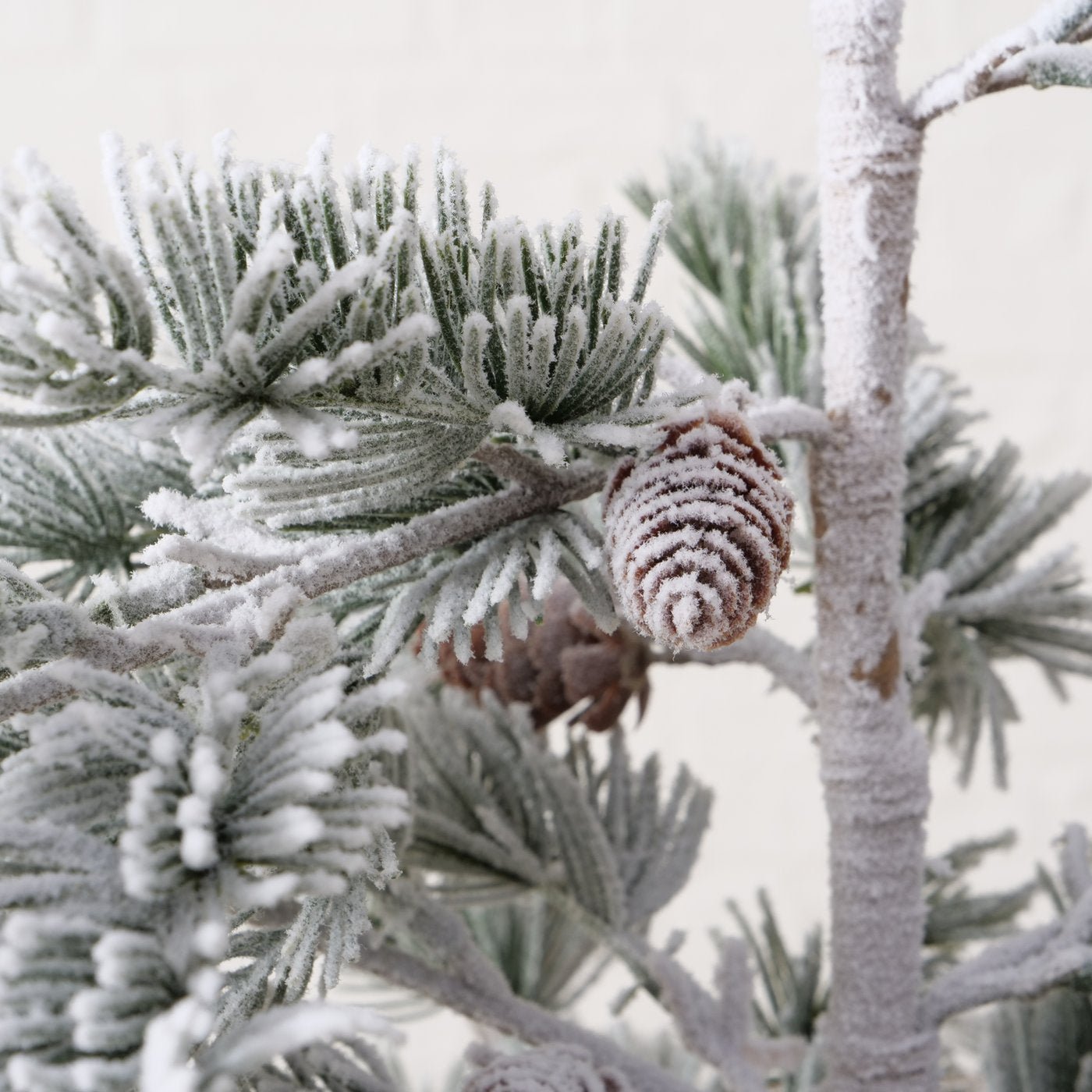 Weihnachtsbaum Kiefer - WohnSinn