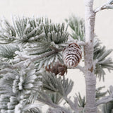 Weihnachtsbaum Kiefer - WohnSinn