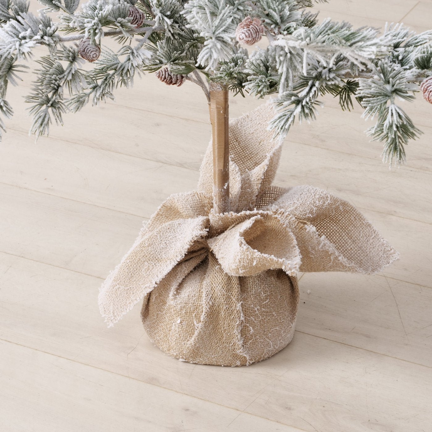 Weihnachtsbaum Kiefer - WohnSinn
