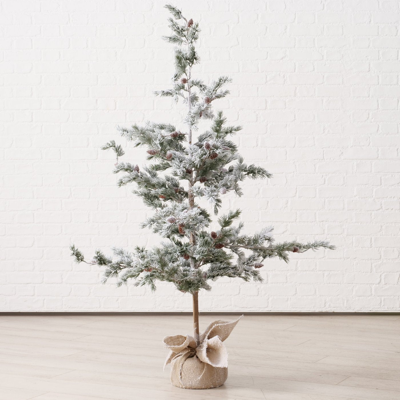 Weihnachtsbaum Kiefer - WohnSinn