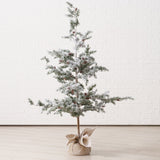 Weihnachtsbaum Kiefer - WohnSinn