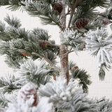 Weihnachtsbaum Kiefer - WohnSinn