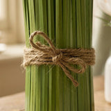 Ziergras – Nahaufnahme Materialdetail